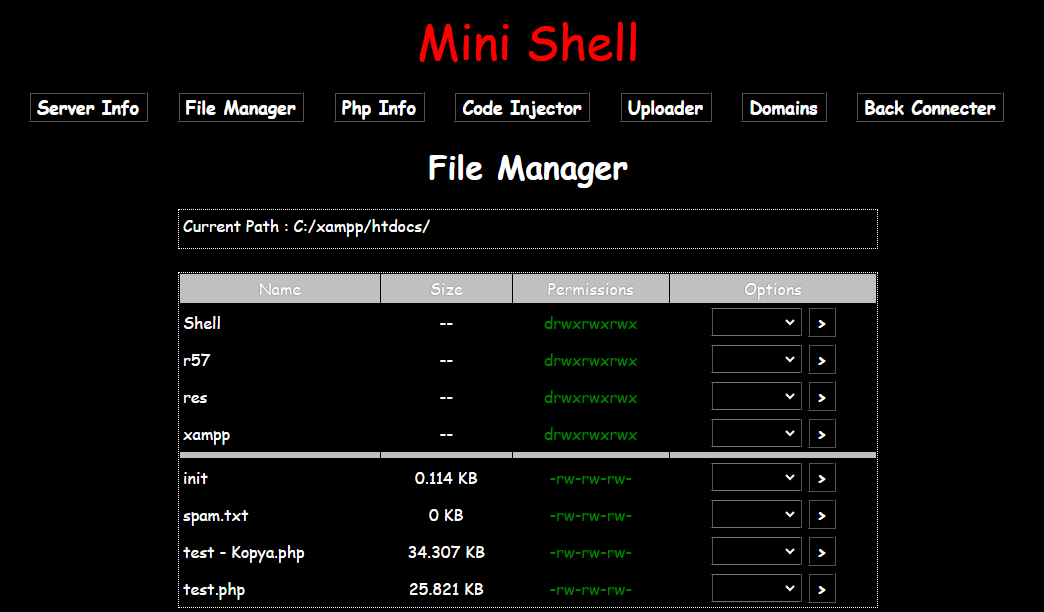 Analysis of the Mini Shell PHP Script