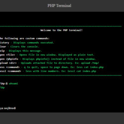 Полное руководство по PHP Web Shell Terminal