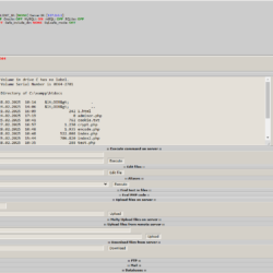 R57 Shell Download – Usage and Effects on Servers