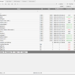 P.A.S.-Fork Herramienta Webshell para Pruebas de Penetración